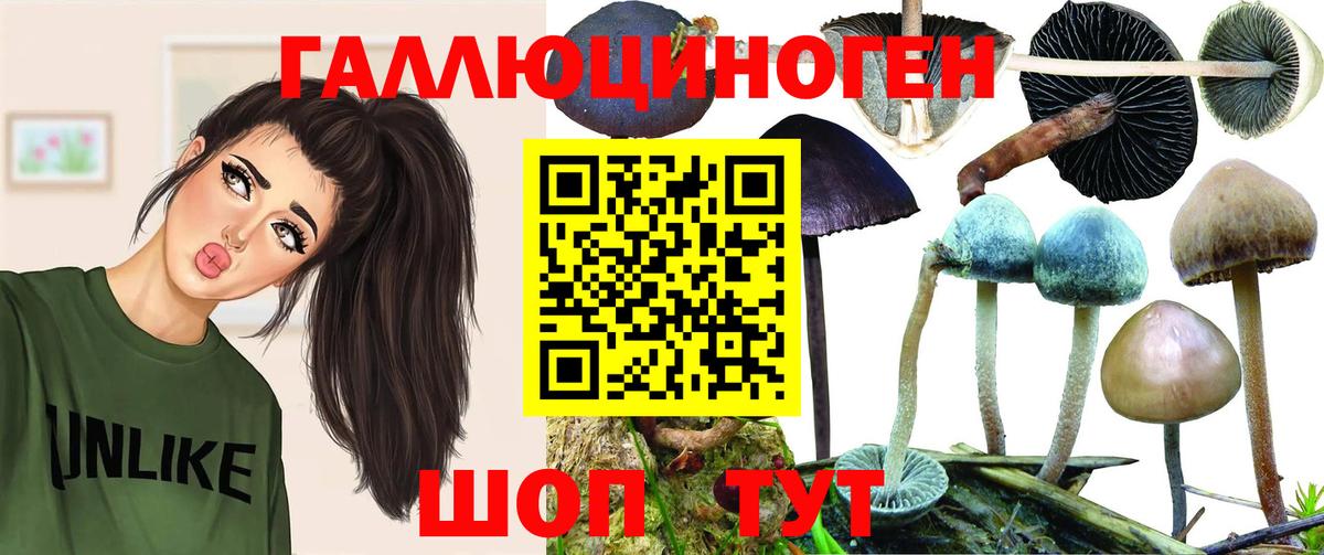 Галлюциногенные грибы Magic Shrooms Богородск