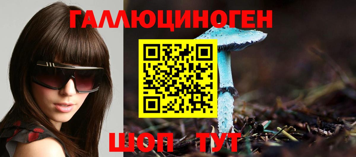 где купить наркотик  Псилоцибиновые грибы Magic Shrooms  Вход с VPN  Богородск 